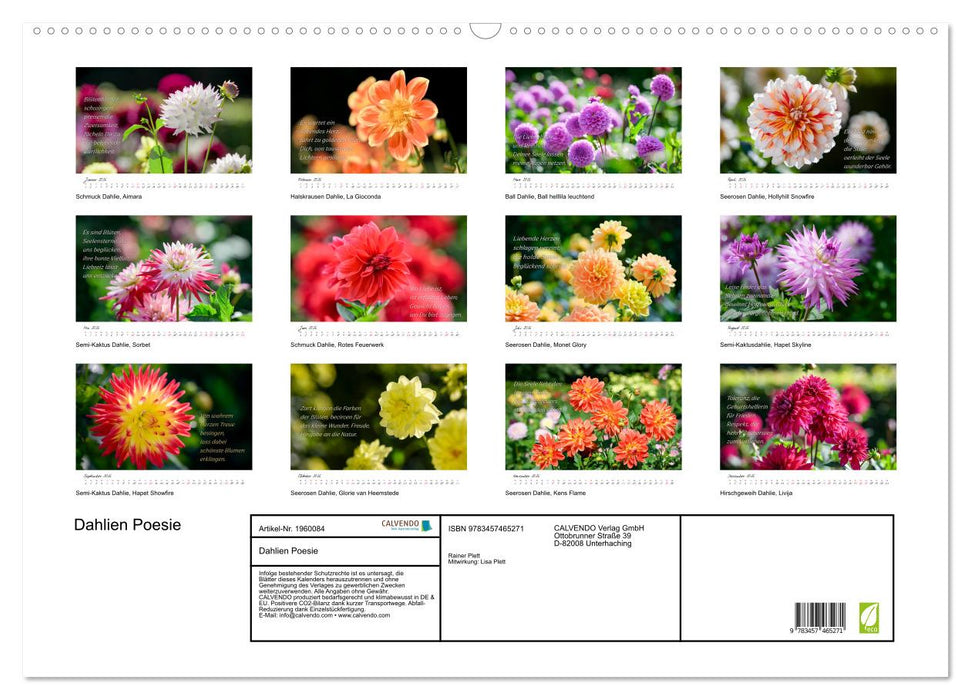 Dahlien Poesie (CALVENDO Wandkalender 2026)