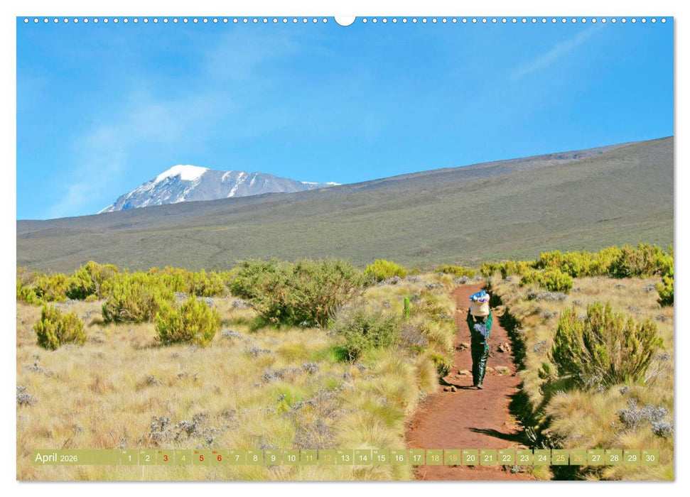Entdeckungen am Kilimandscharo (CALVENDO Wandkalender 2026)