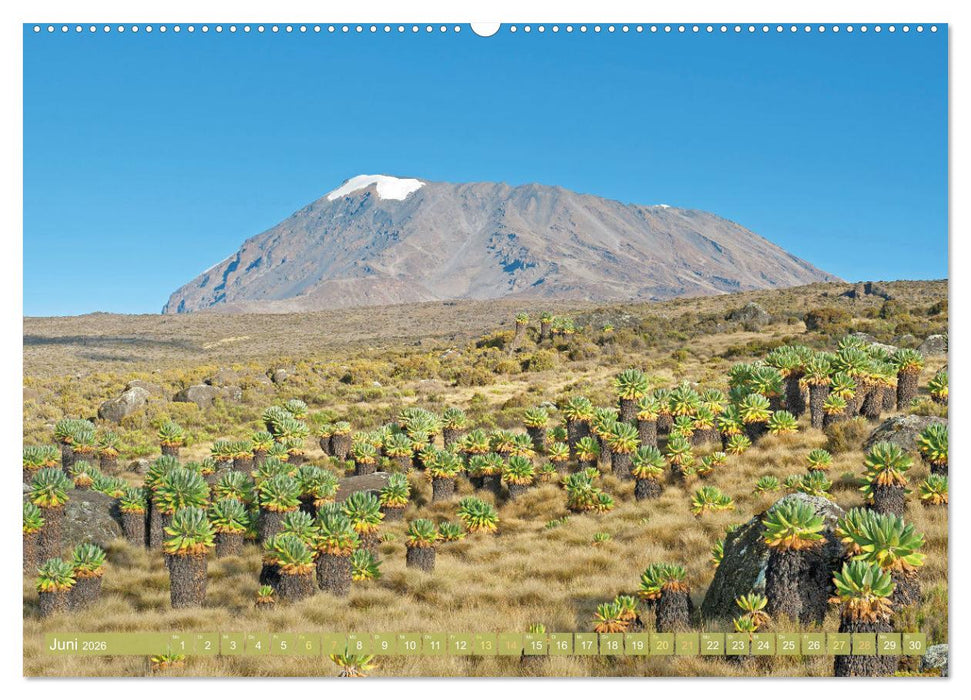 Entdeckungen am Kilimandscharo (CALVENDO Wandkalender 2026)