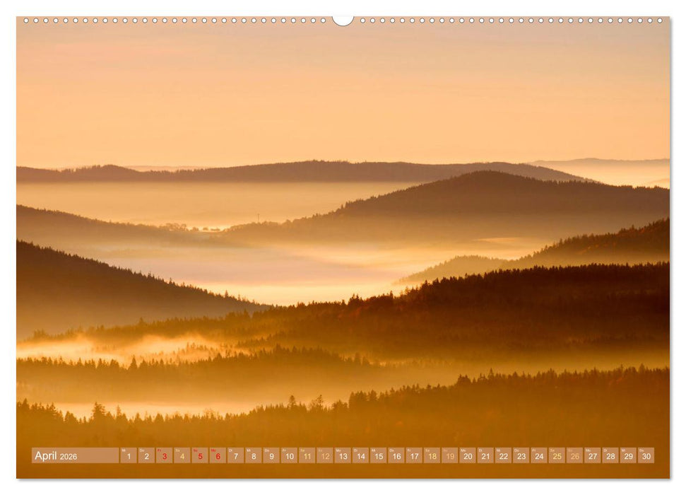 Arber, Rachel und Lusen: Der Hintere Bayerische Wald (CALVENDO Wandkalender 2026)