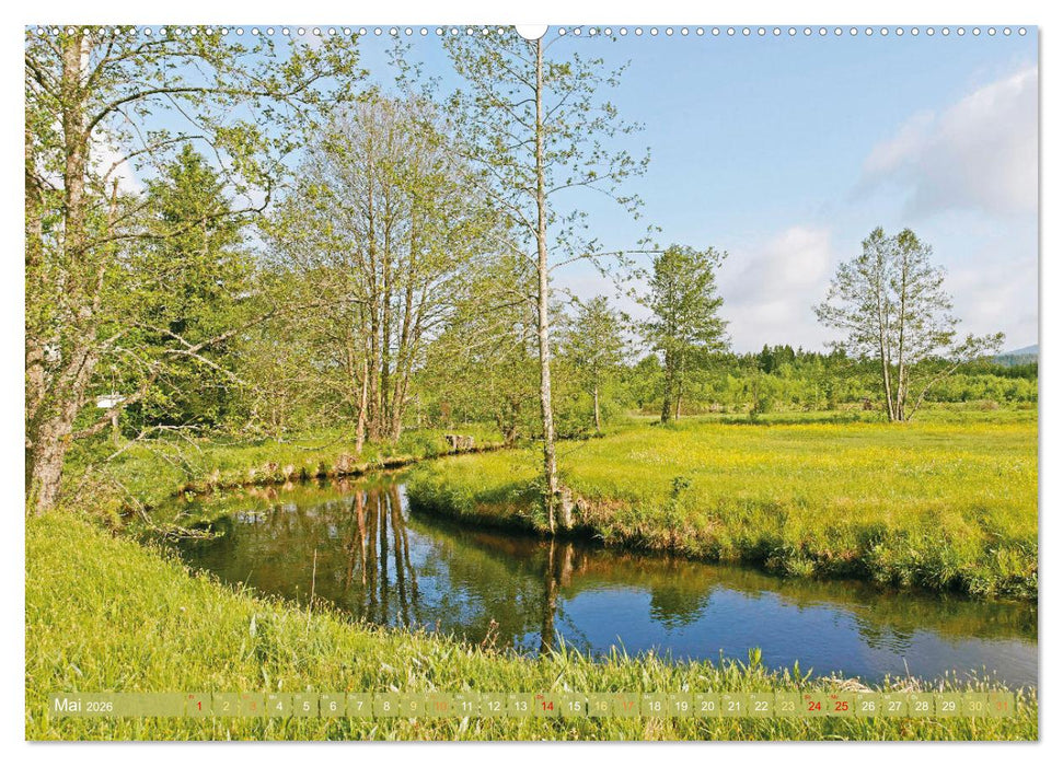 Arber, Rachel und Lusen: Der Hintere Bayerische Wald (CALVENDO Wandkalender 2026)