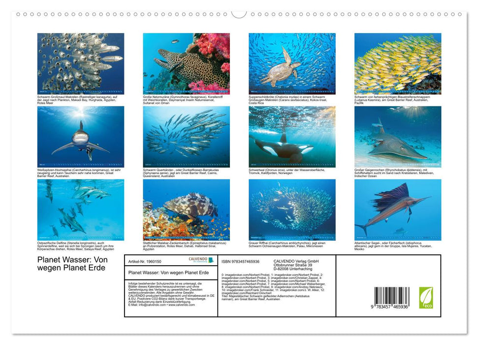Planet Wasser: Von wegen Planet Erde (CALVENDO Premium Wandkalender 2026)