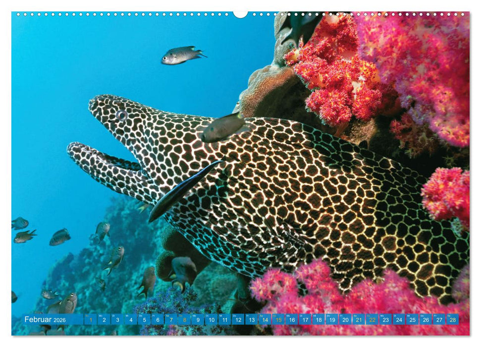 Planet Wasser: Von wegen Planet Erde (CALVENDO Premium Wandkalender 2026)