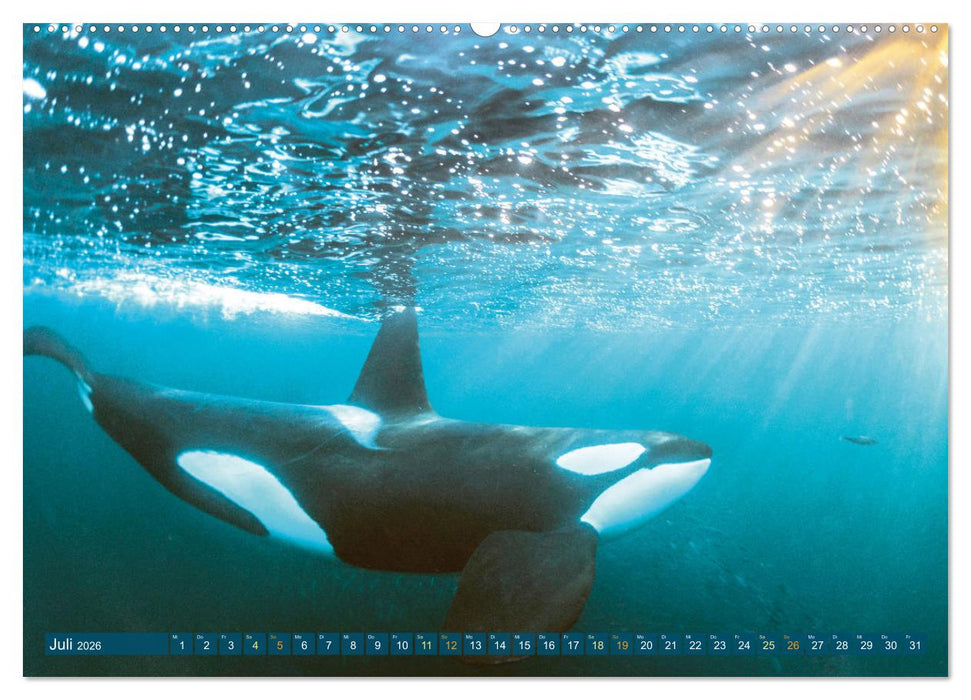 Planet Wasser: Von wegen Planet Erde (CALVENDO Premium Wandkalender 2026)