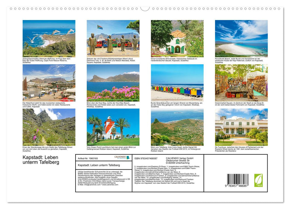 Kapstadt: Leben unterm Tafelberg (CALVENDO Premium Wandkalender 2026)