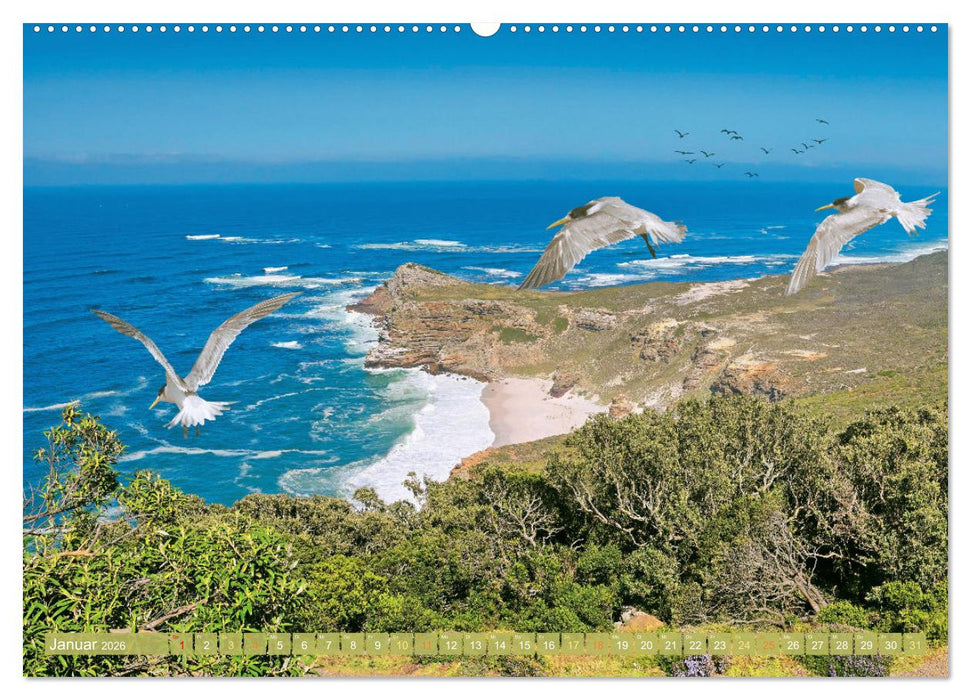 Kapstadt: Leben unterm Tafelberg (CALVENDO Premium Wandkalender 2026)
