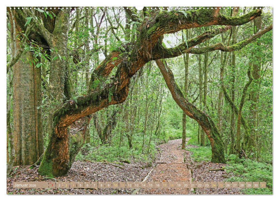 Entdeckungen am Kilimandscharo (CALVENDO Premium Wandkalender 2026)