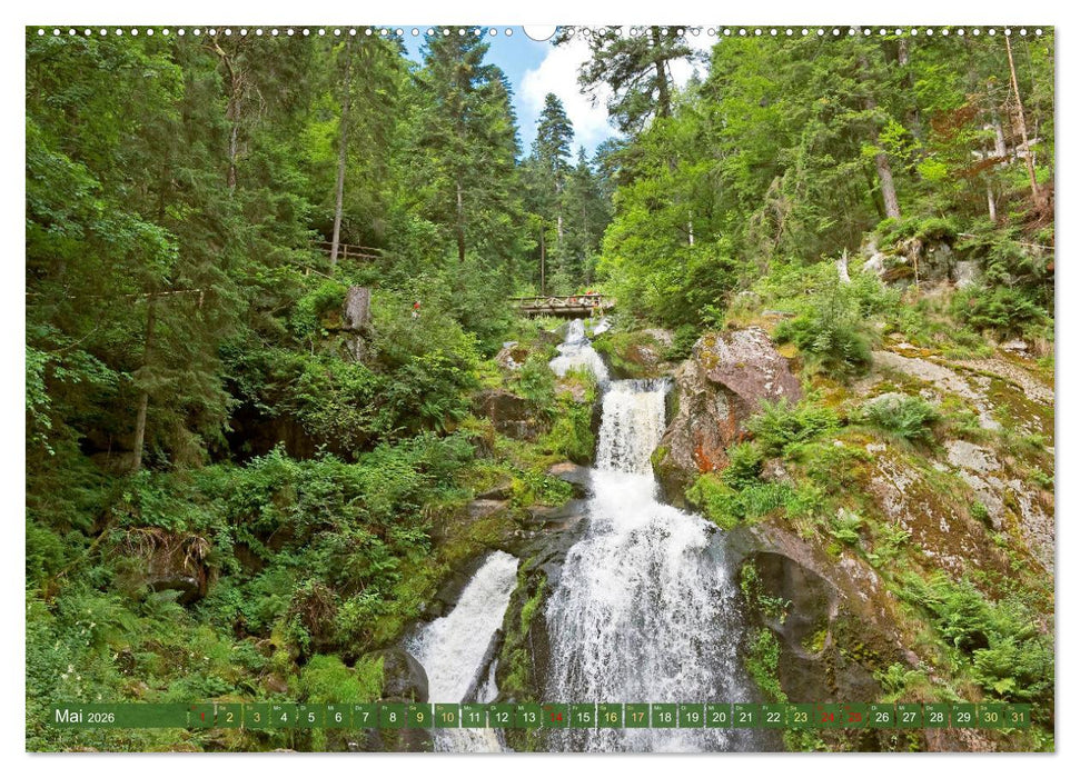 Schwarzwald - Märchenwald (CALVENDO Premium Wandkalender 2026)