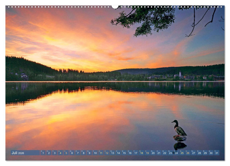 Schwarzwald - Märchenwald (CALVENDO Premium Wandkalender 2026)
