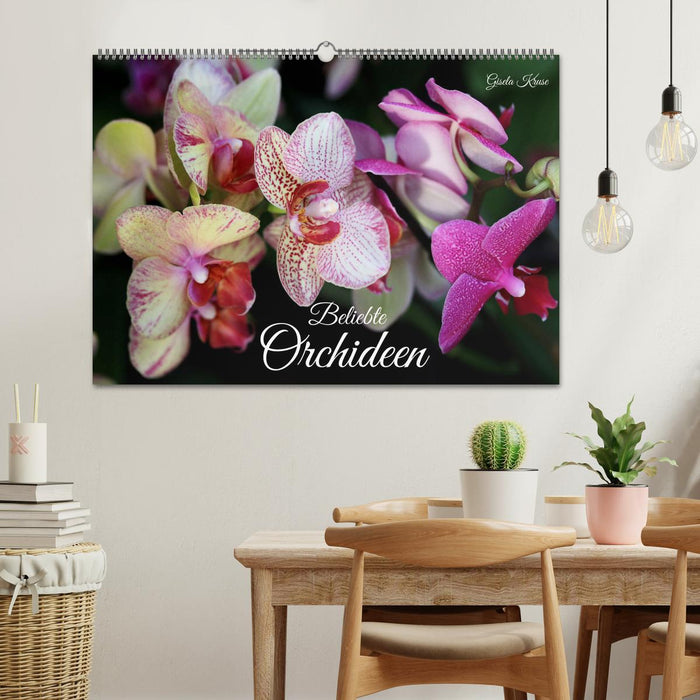 Beliebte Orchideen (CALVENDO Wandkalender 2026)