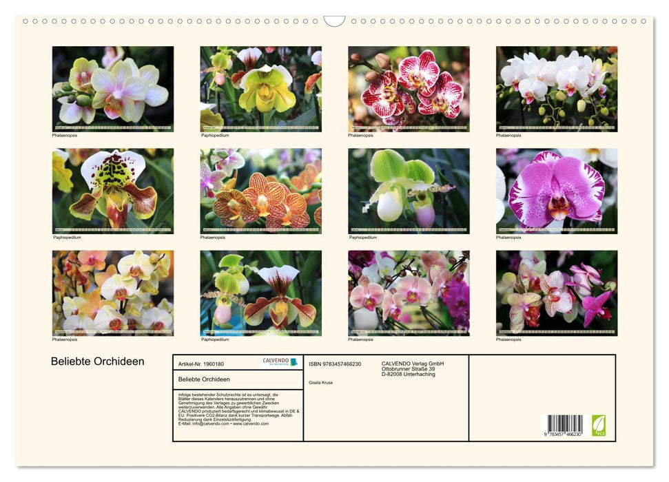 Beliebte Orchideen (CALVENDO Wandkalender 2026)