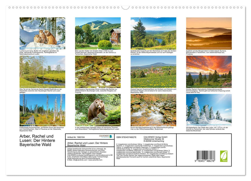 Arber, Rachel und Lusen: Der Hintere Bayerische Wald (CALVENDO Premium Wandkalender 2026)