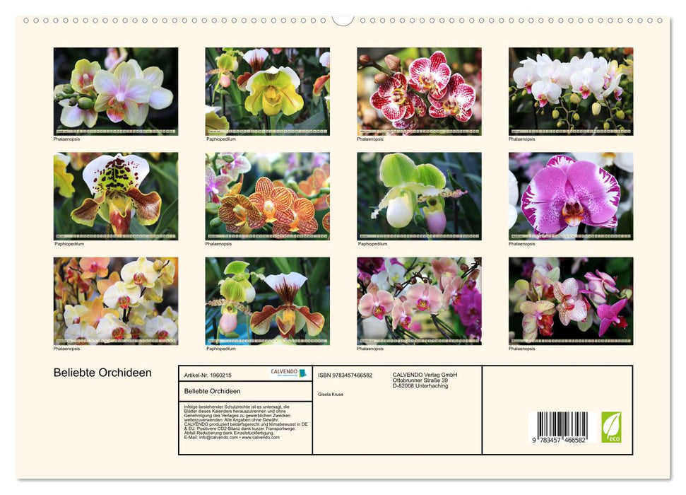 Beliebte Orchideen (CALVENDO Premium Wandkalender 2026)