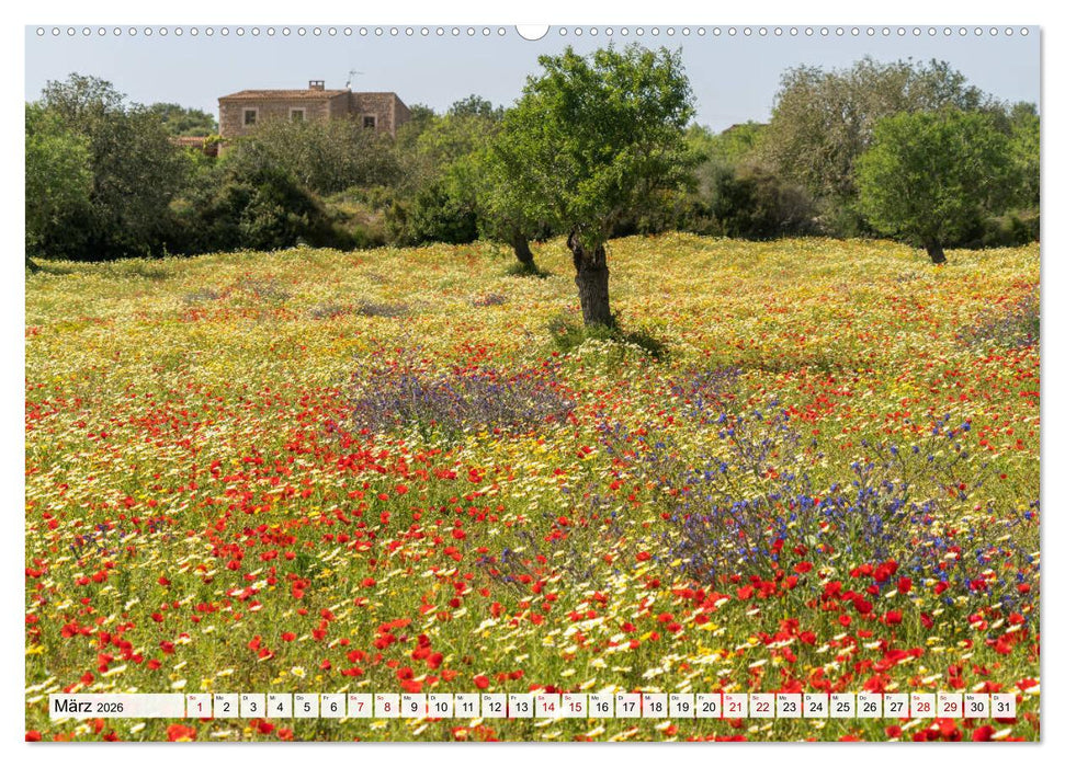 Spanien - Balearen - Mallorca (CALVENDO Premium Wandkalender 2026)