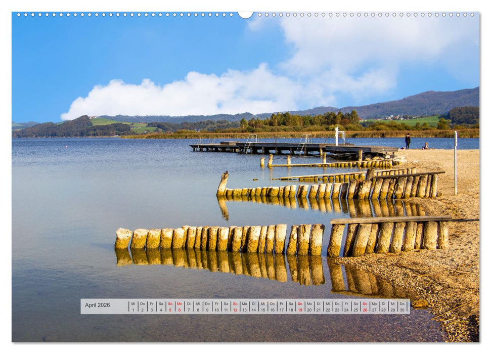 Rund um den Wallersee (CALVENDO Wandkalender 2026)