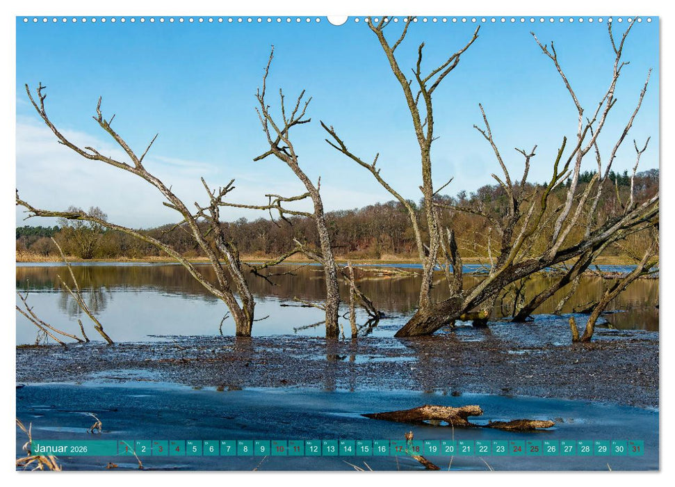 Flusslandschaft Elbe (CALVENDO Wandkalender 2026)