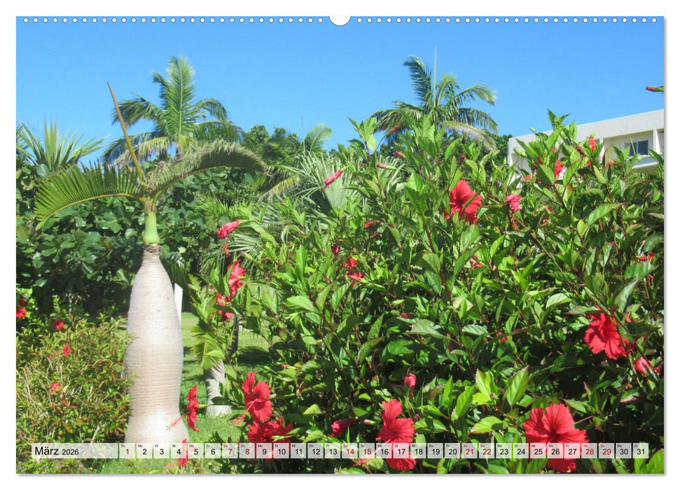 Ishigaki & Miyako - Subtropisches Inselparadies im Süden Japans (CALVENDO Premium Wandkalender 2026)
