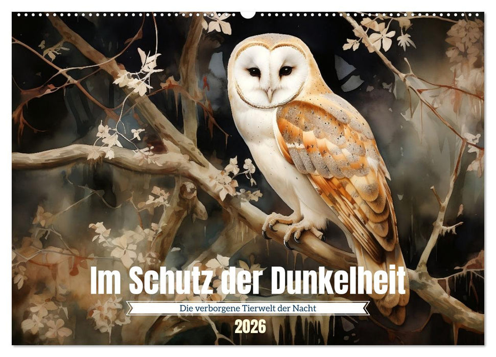 Im Schutz der Dunkelheit (CALVENDO Wandkalender 2026)