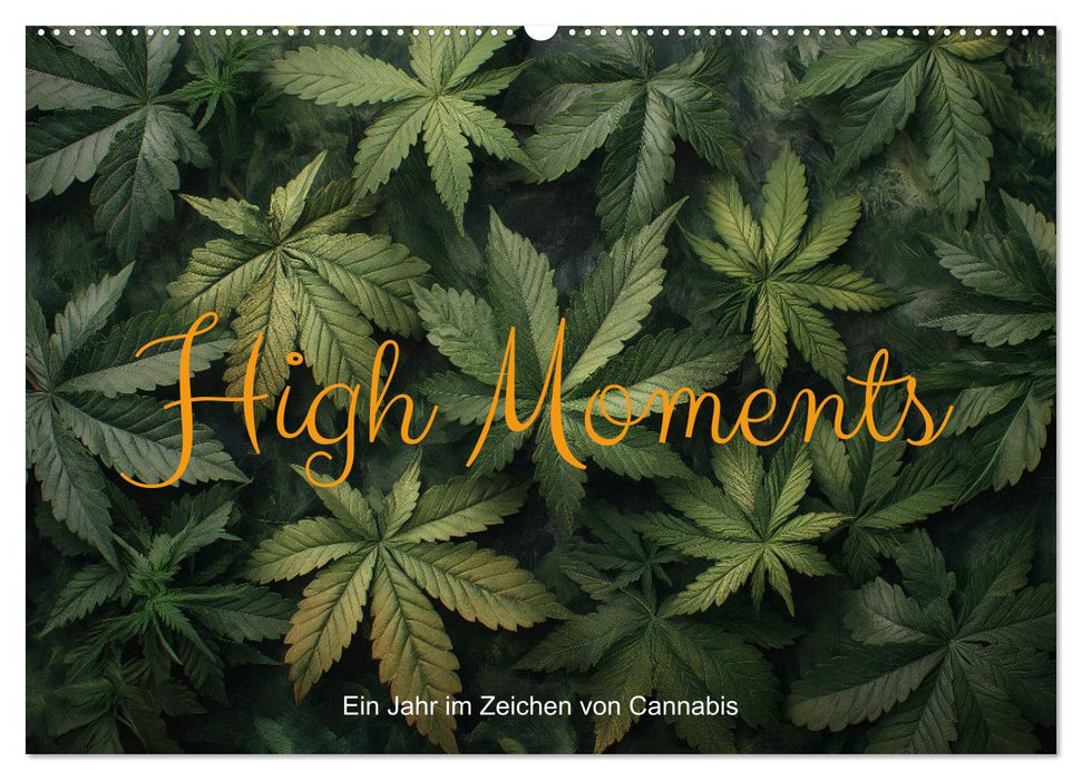 High Moments - Ein Jahr im Zeichen von Cannabis (CALVENDO Wandkalender 2026)