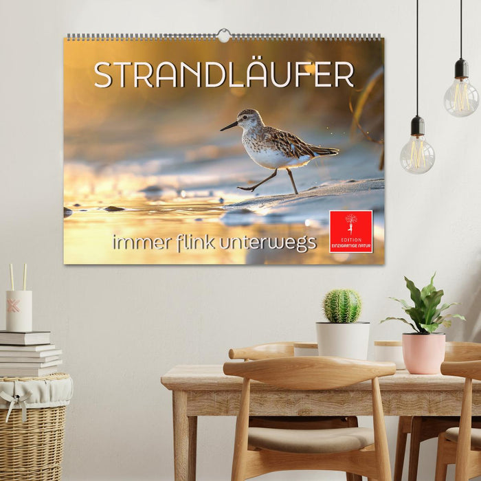 Strandläufer - immer flink unterwegs (CALVENDO Wandkalender 2026)