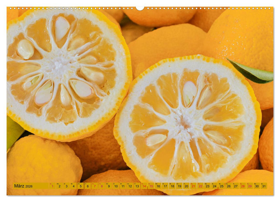 GELB - Gemüse und Obst - Sonnengereift (CALVENDO Premium Wandkalender 2026)