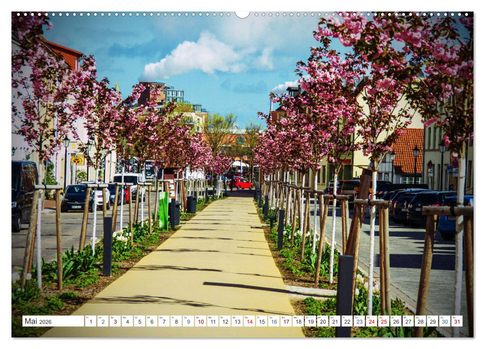 Wismar - Die Ostseeperle unter den deutschen Hansestädten (CALVENDO Wandkalender 2026)