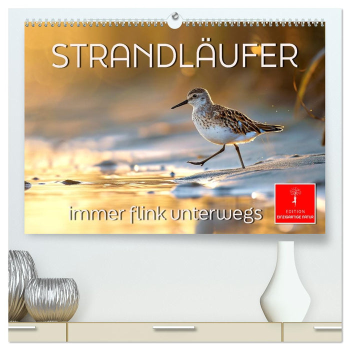 Strandläufer - immer flink unterwegs (CALVENDO Premium Wandkalender 2026)