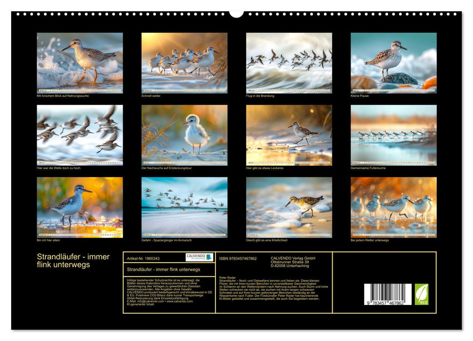 Strandläufer - immer flink unterwegs (CALVENDO Premium Wandkalender 2026)