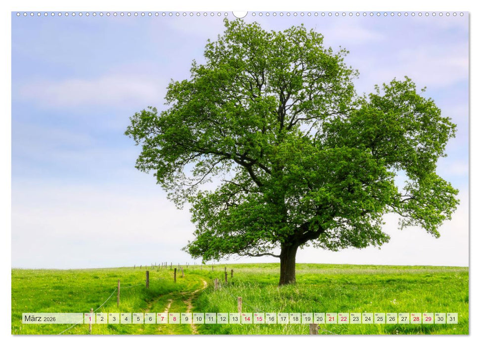 Idyllische Wanderwege im Bergischen Land (CALVENDO Wandkalender 2026)