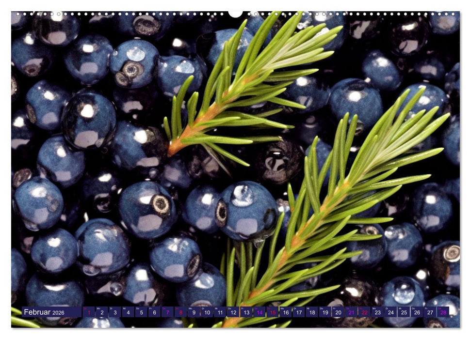 BLAU - Gemüse und Obst - Farbexplosion (CALVENDO Wandkalender 2026)