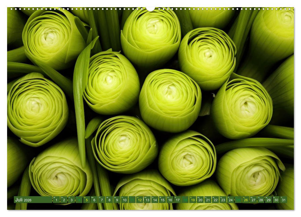 GRÜN - Gemüse und Obst - Knackig und Frisch (CALVENDO Premium Wandkalender 2026)