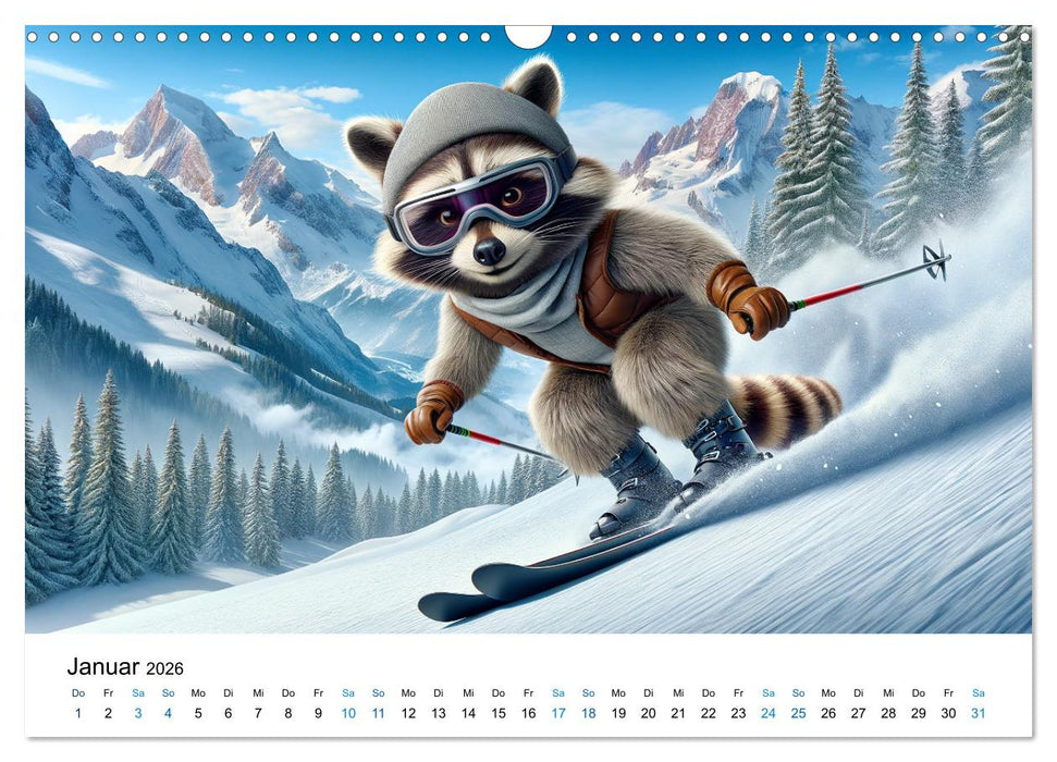 Lustige Waschbären (CALVENDO Wandkalender 2026)