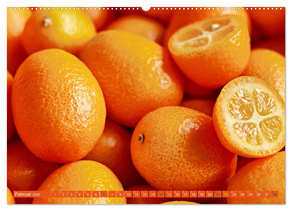 ORANGE - Gemüse und Obst -Vitaminreich (CALVENDO Premium Wandkalender 2026)
