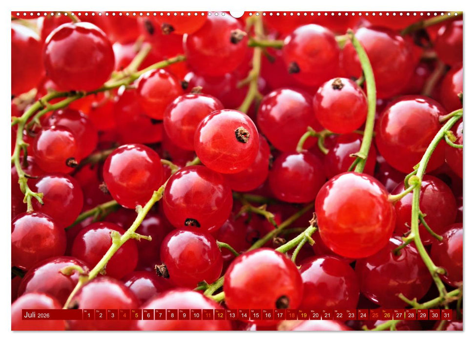 ROT - Gemüse und Obst - Voller Power (CALVENDO Premium Wandkalender 2026)