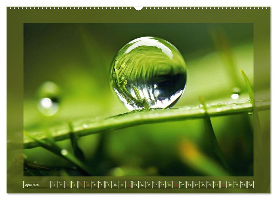 Faszination Spiegelung - in der Natur (CALVENDO Wandkalender 2026)