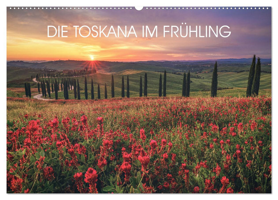 DIE TOSKANA IM FRÜHLING (CALVENDO Wandkalender 2026)