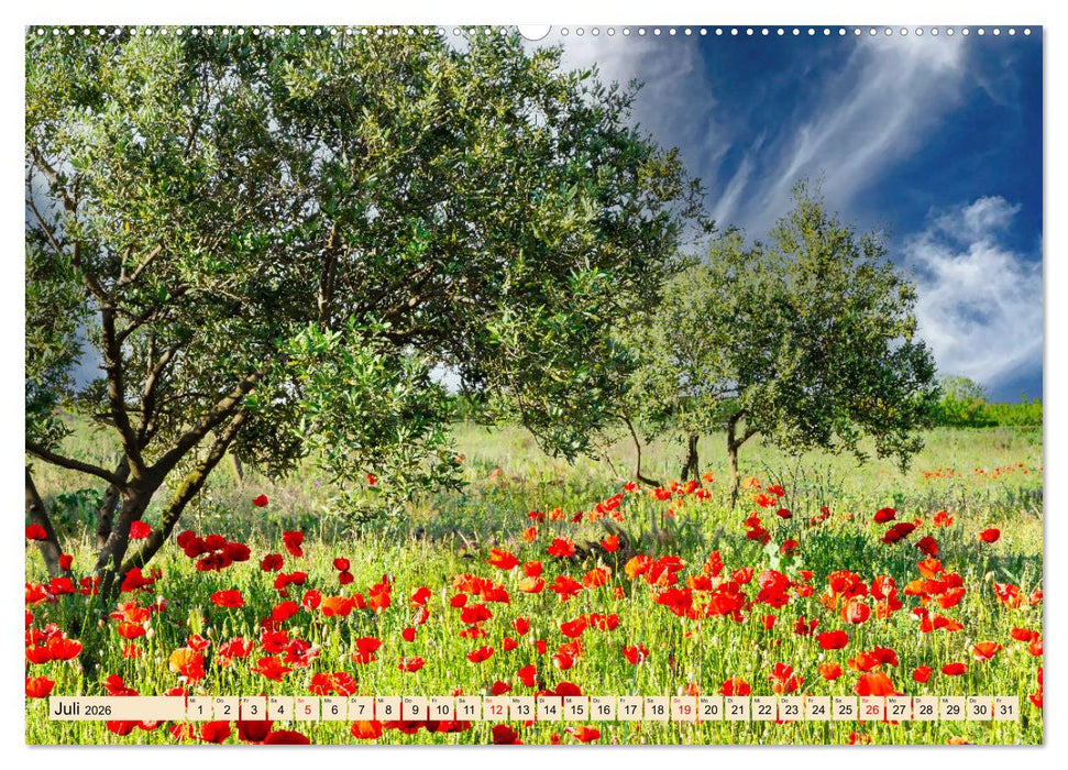 Provence. Licht und Lebensfreude (CALVENDO Premium Wandkalender 2026)