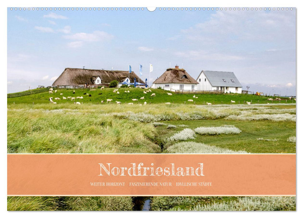 Nordfriesland - weiter Horizont, faszinierende Natur, idyllische Städte (CALVENDO Wandkalender 2026)