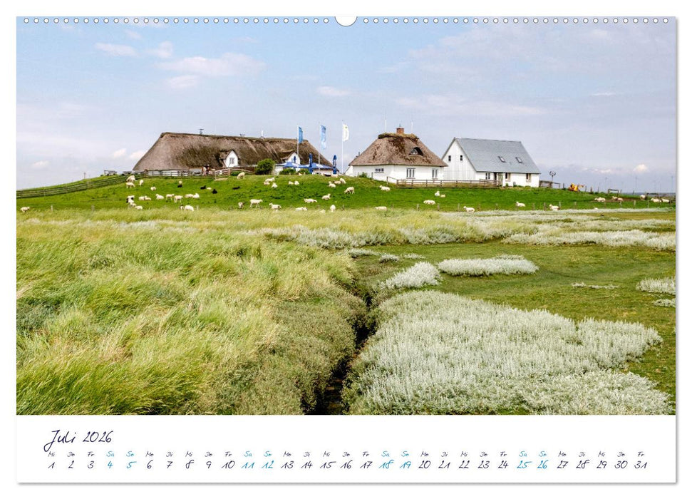 Nordfriesland - weiter Horizont, faszinierende Natur, idyllische Städte (CALVENDO Premium Wandkalender 2026)