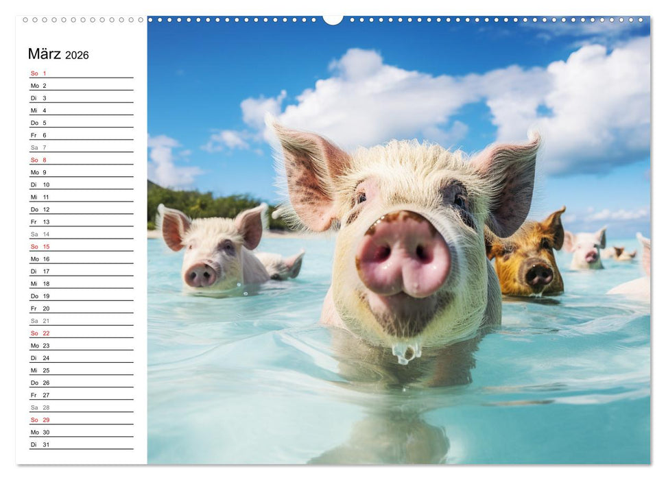 Schweinereien in der Karibik. Sonne und Spaß mit schwimmenden Schweinen (CALVENDO Premium Wandkalender 2026)