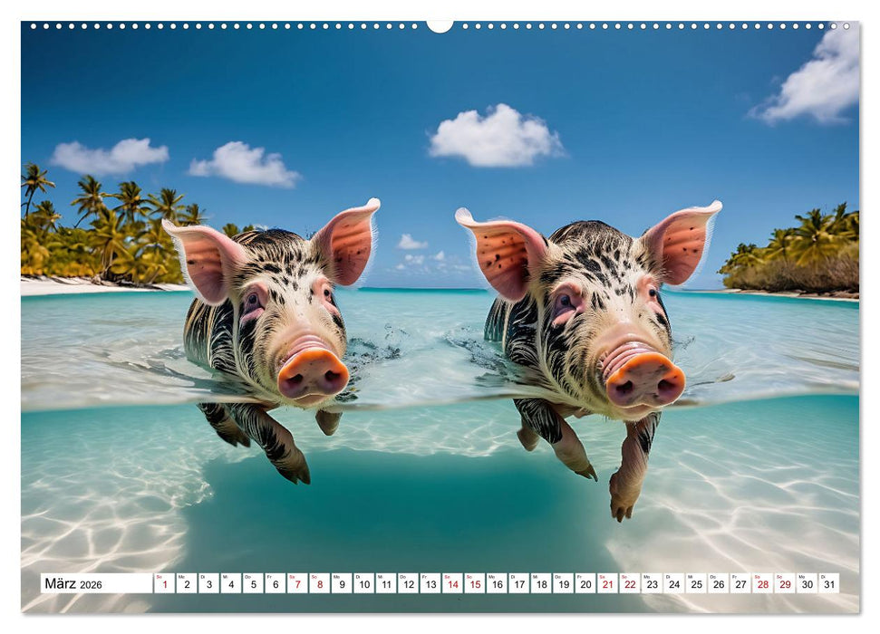Schwimmende Schweine im Paradies (CALVENDO Wandkalender 2026)