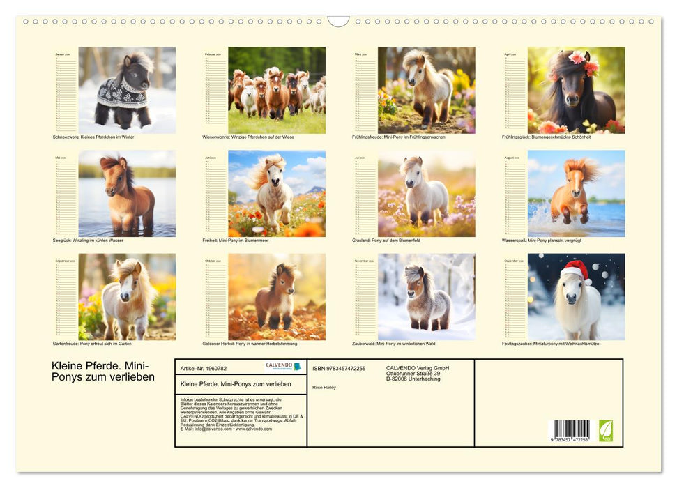 Kleine Pferde. Mini-Ponys zum verlieben (CALVENDO Wandkalender 2026)