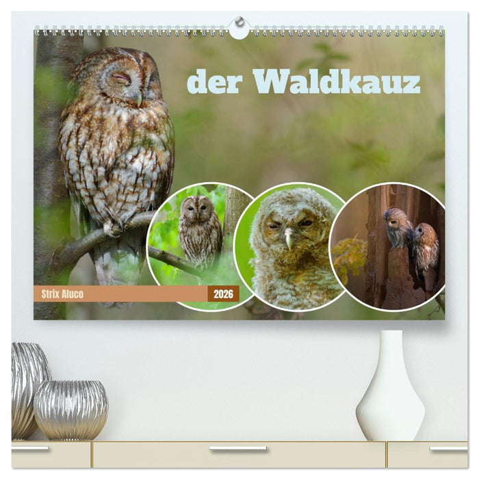 der Waldkauz - Strix Aluco (CALVENDO Premium Wandkalender 2026)