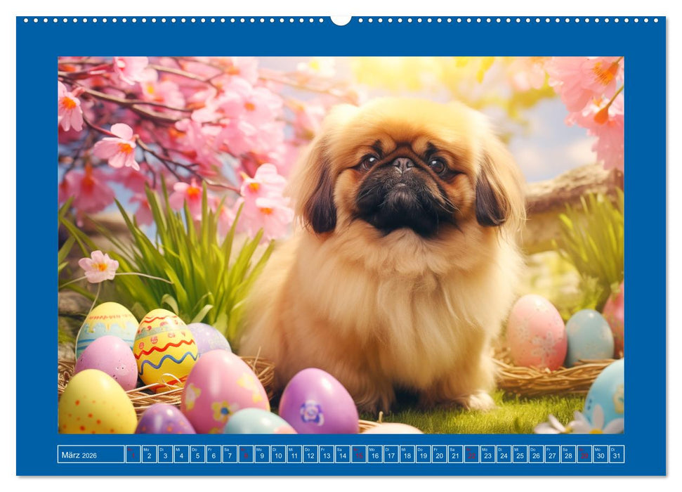 Lustige Pekinesen. Wuschelige Löwen mit Spaß am Leben (CALVENDO Wandkalender 2026)