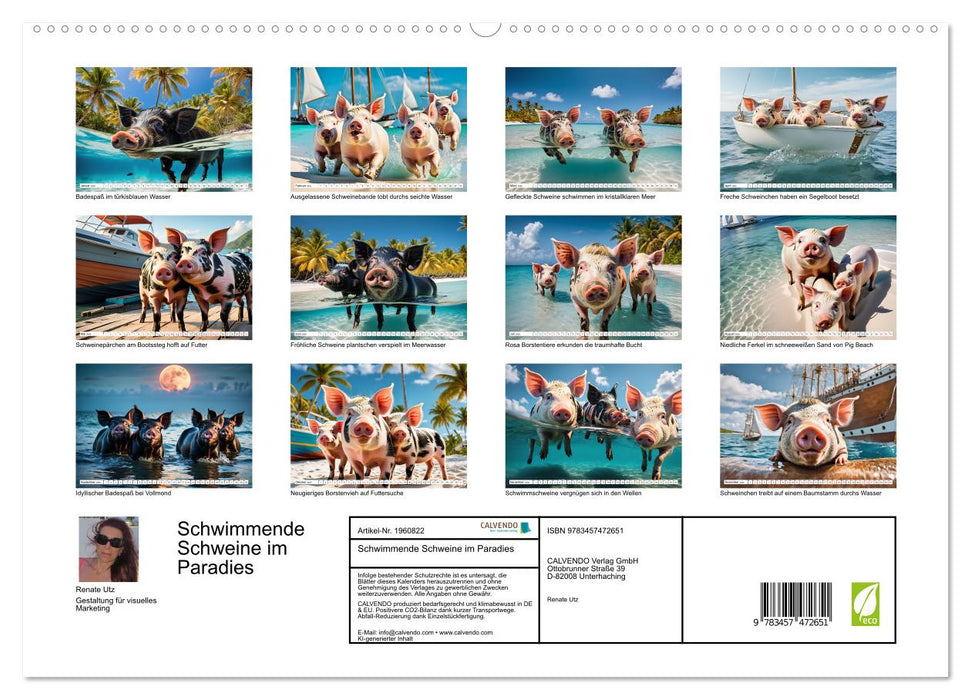 Schwimmende Schweine im Paradies (CALVENDO Premium Wandkalender 2026)