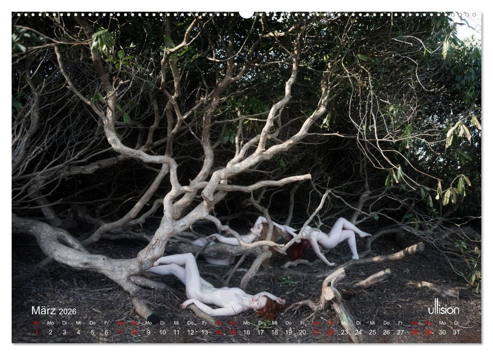 Poesie der Stille – Akt in der Natur (CALVENDO Wandkalender 2026)