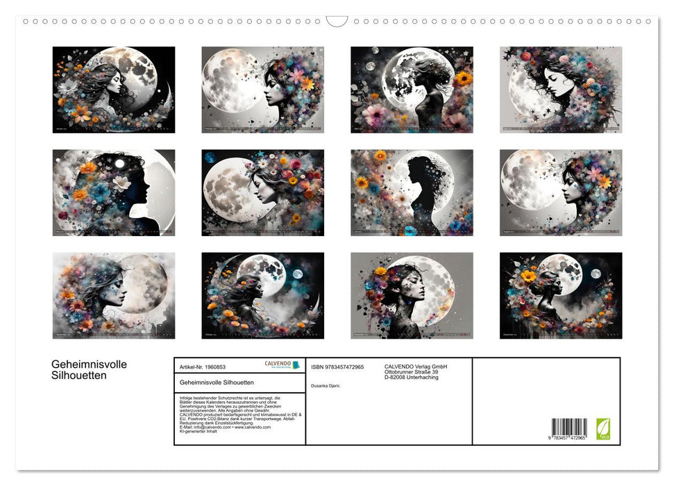 Geheimnisvolle Silhouetten (CALVENDO Wandkalender 2026)