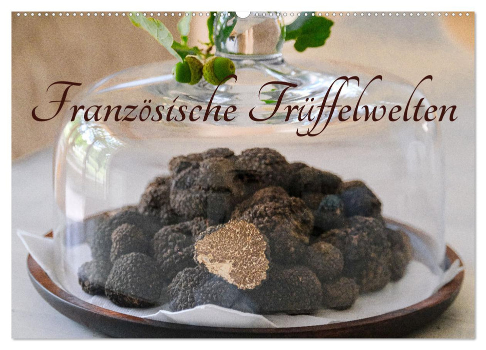 Französische Trüffelwelten (CALVENDO Wandkalender 2026)