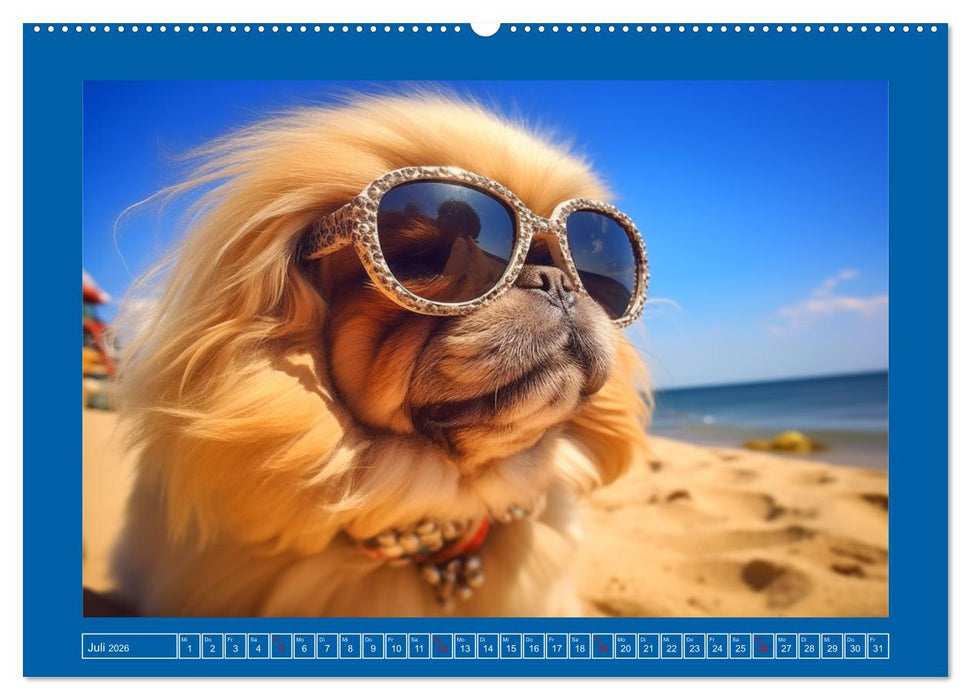Lustige Pekinesen. Wuschelige Löwen mit Spaß am Leben (CALVENDO Premium Wandkalender 2026)