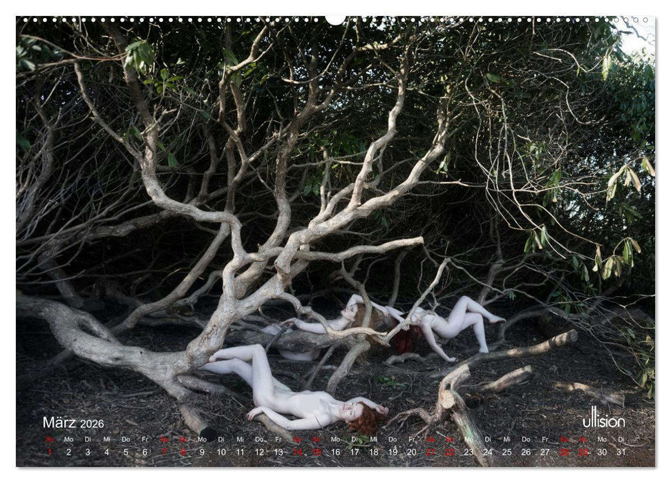 Poesie der Stille – Akt in der Natur (CALVENDO Premium Wandkalender 2026)